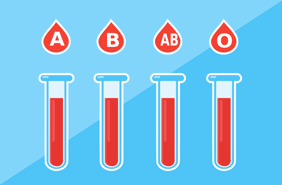 هناك 4 فصائل دم A، B، AB، O. 